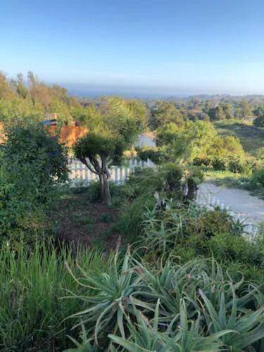 Photo of Others in Central Malibu