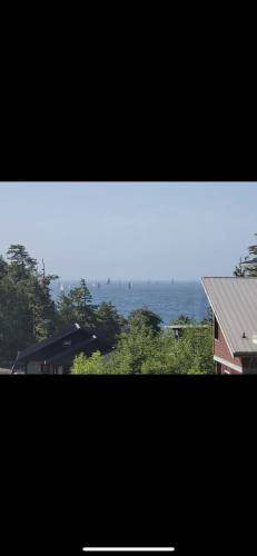 Photo of Others in Ucluelet