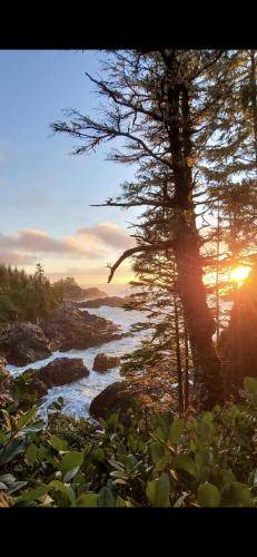 Photo of Others in Ucluelet