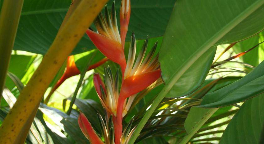 Photo of Others in Wailoloa
