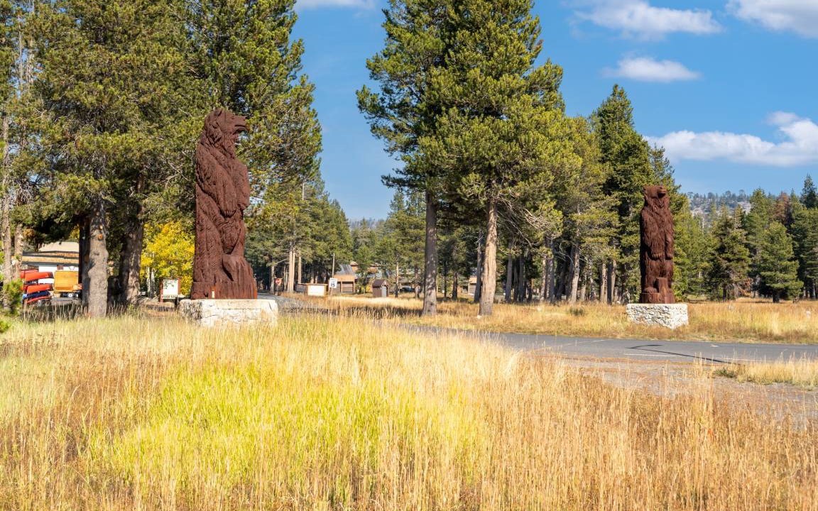 Photo of Others in Bear Valley