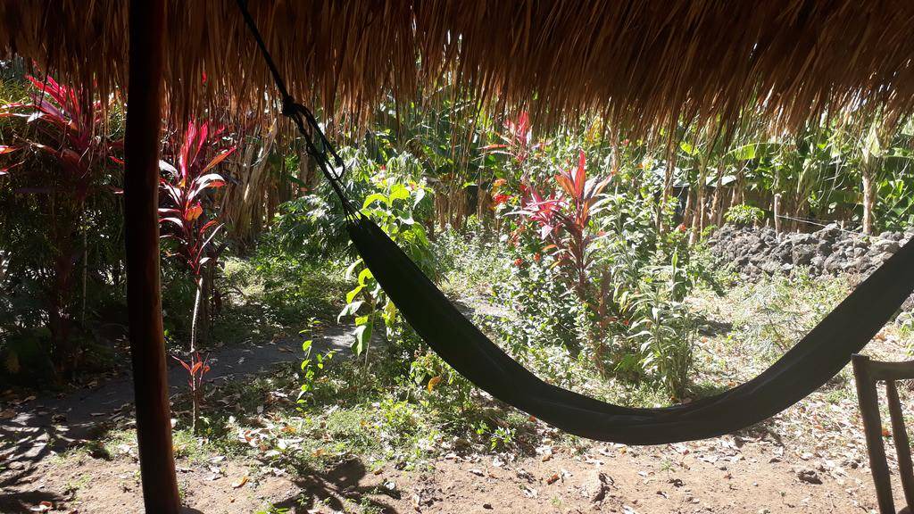 Photo of Others in Altagracia