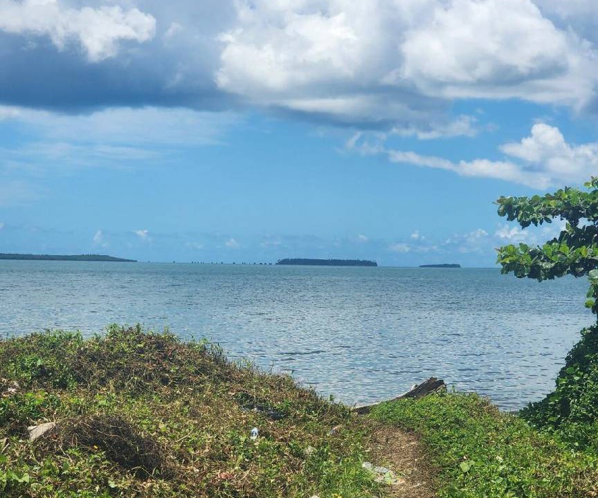 Photo of Others in Suva