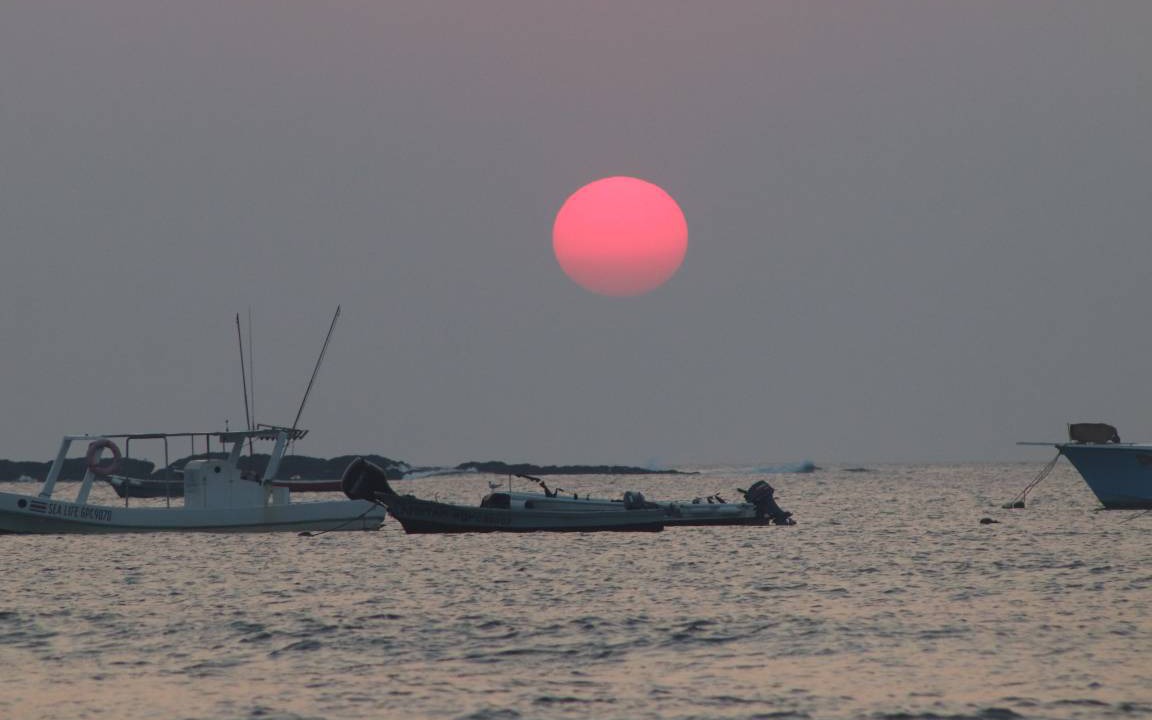 Photo of Others in Tamarindo