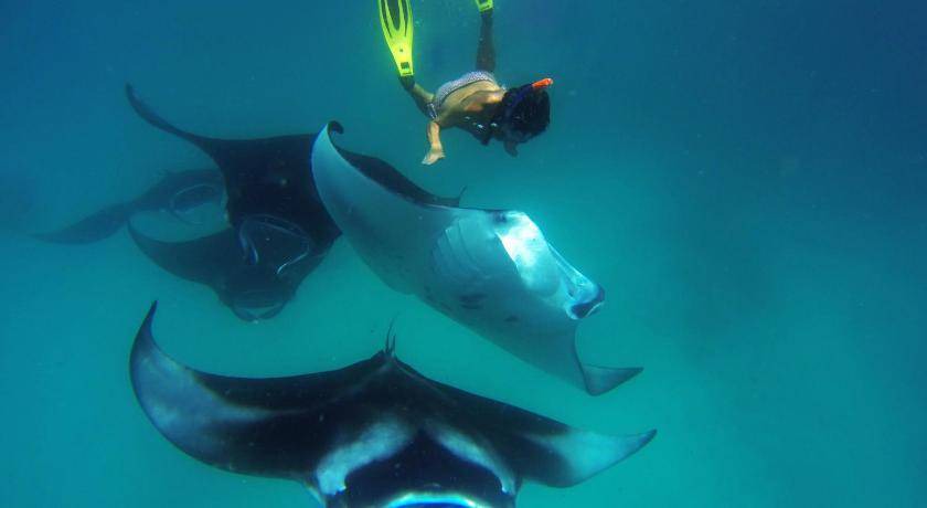 Photo of Others in Dharavandhoo