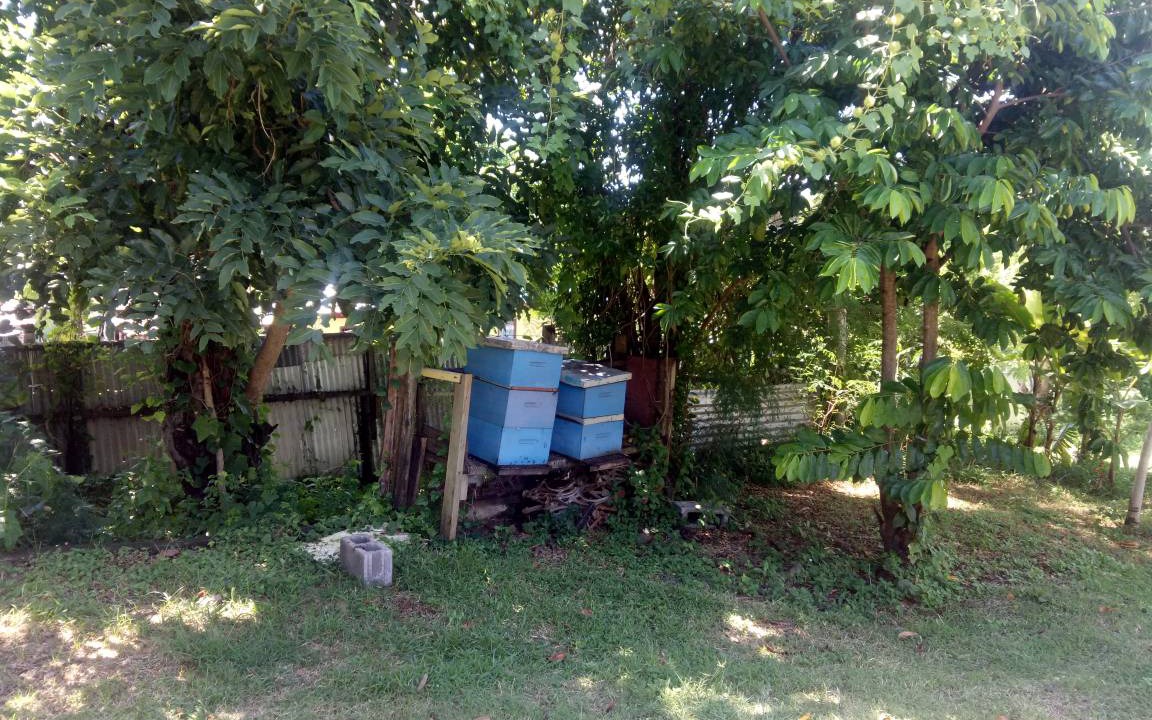 Photo of Others in Rakiraki