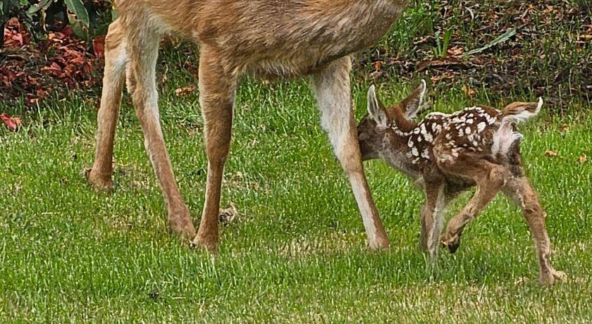 Photo of Others in Ucluelet