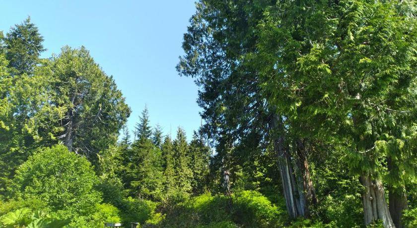 Photo of Others in Tofino