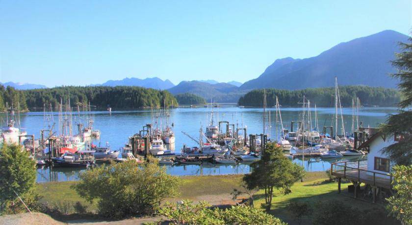 Photo of Others in Tofino