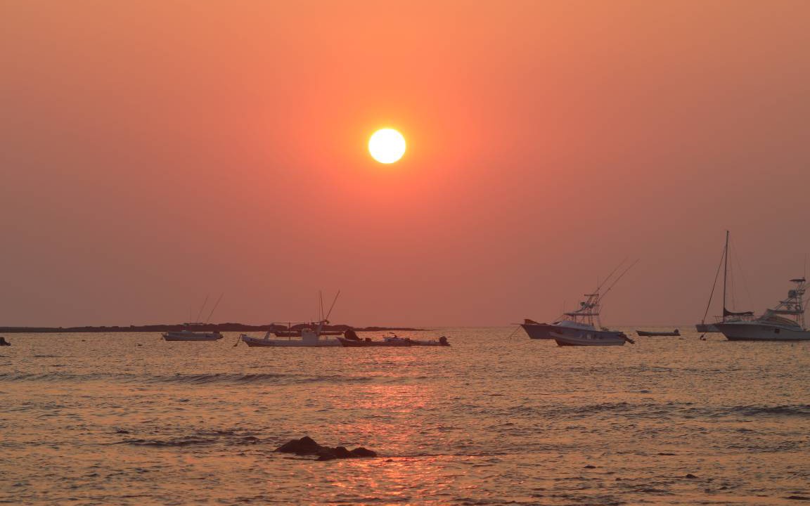 Photo of Others in Tamarindo