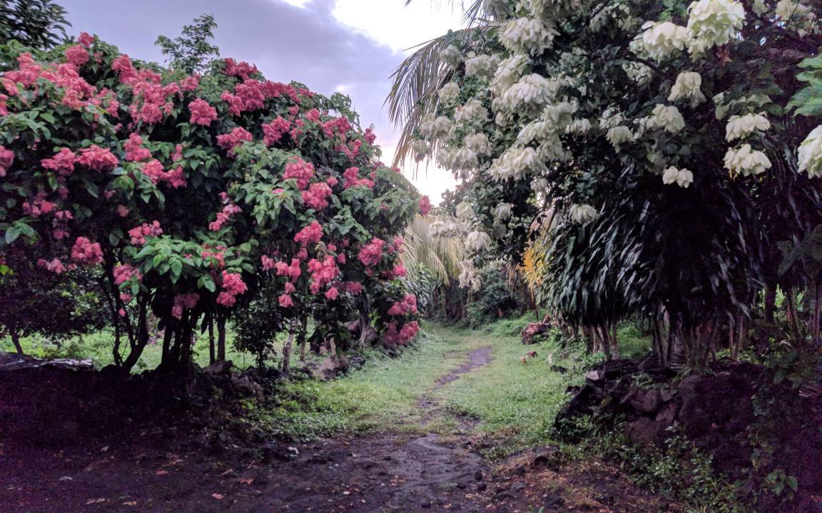 Photo of Others in Altagracia