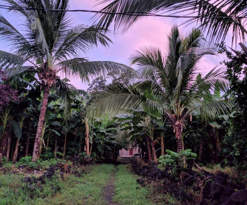 Photo of Others in Altagracia