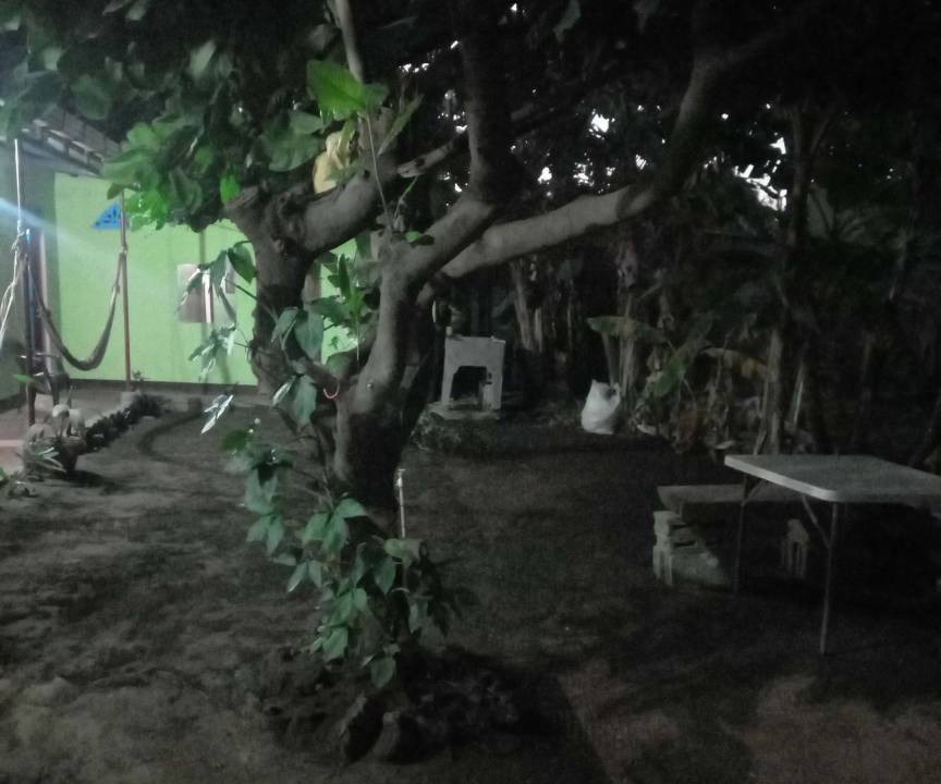 Photo of Others in Moyogalpa