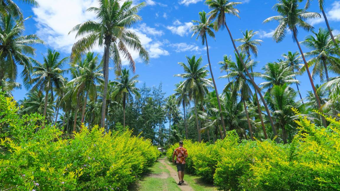 Photo of Others in Matacawalevu Island