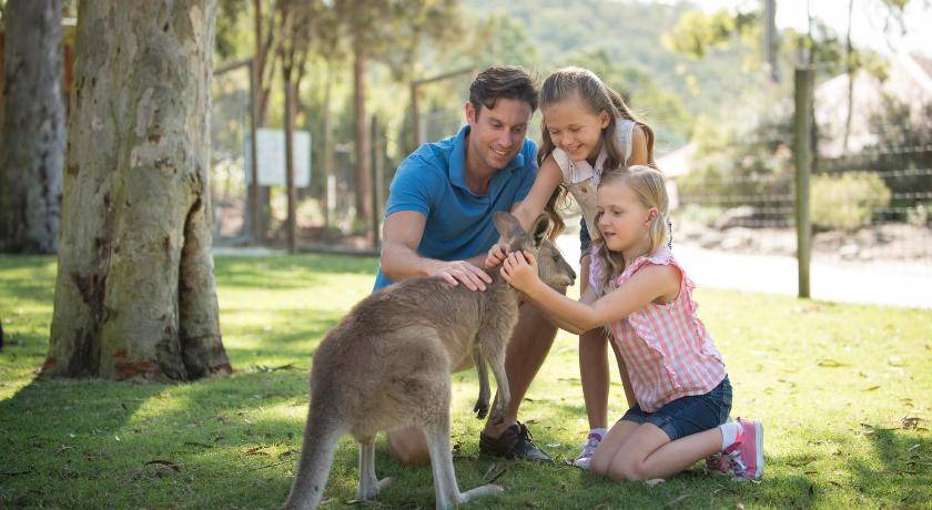 Photo of Others in Oxenford
