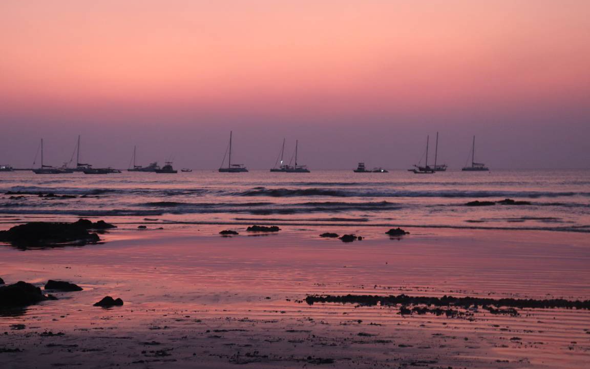 Photo of Others in Tamarindo
