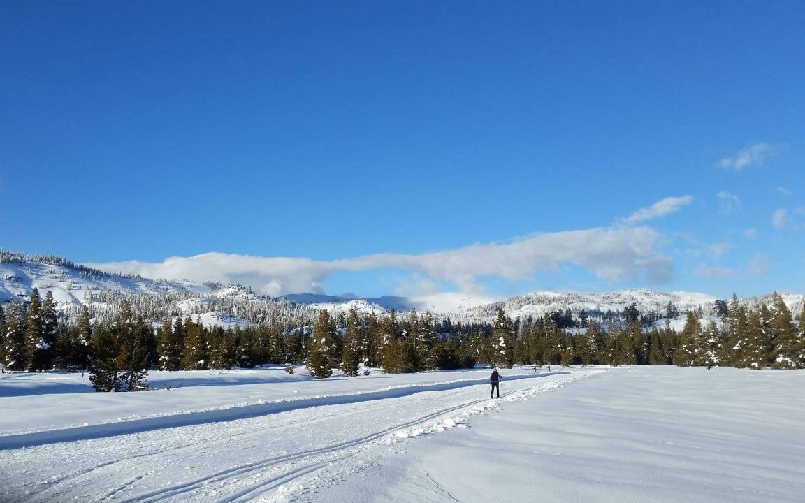 Photo of Others in Bear Valley