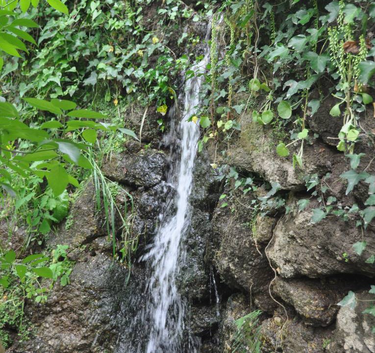 Photo of Others in Santa Comba Dao