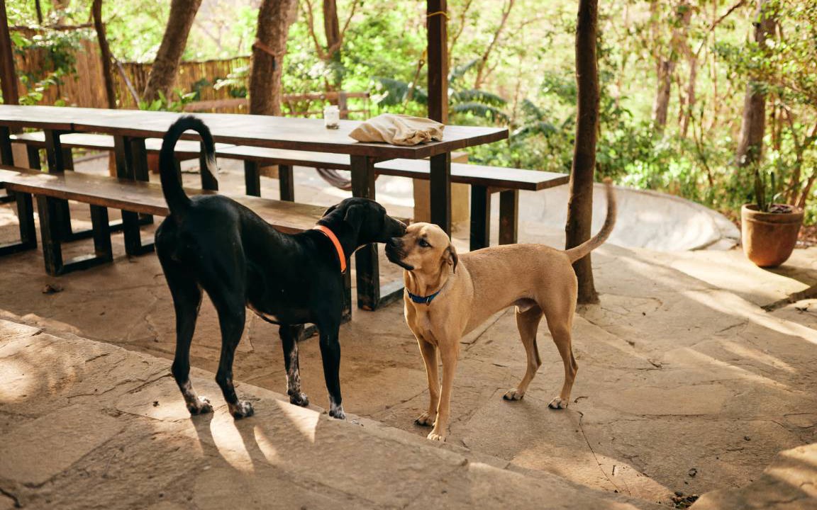 Photo of Others in San Juan del Sur