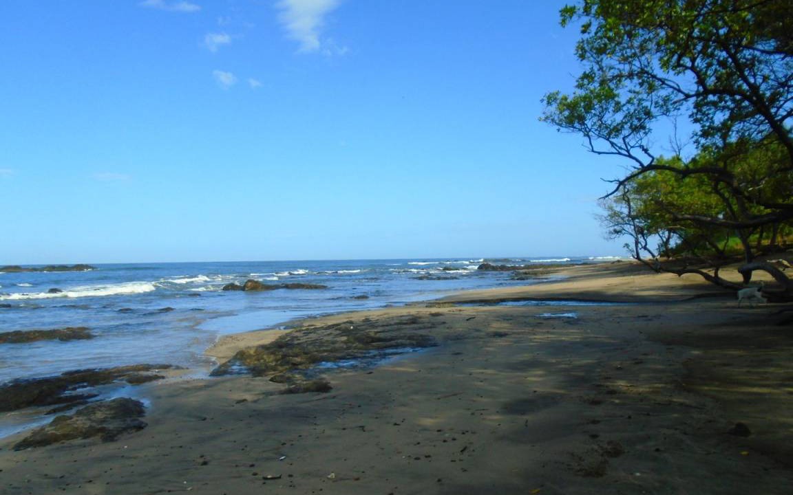 Photo of Others in Junquillal