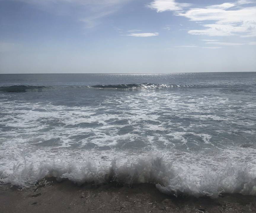 Photo of Others in Tamarindo