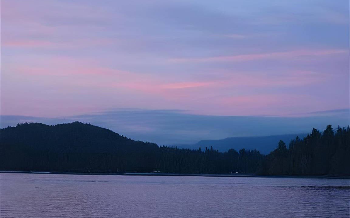 Photo of Others in Tofino