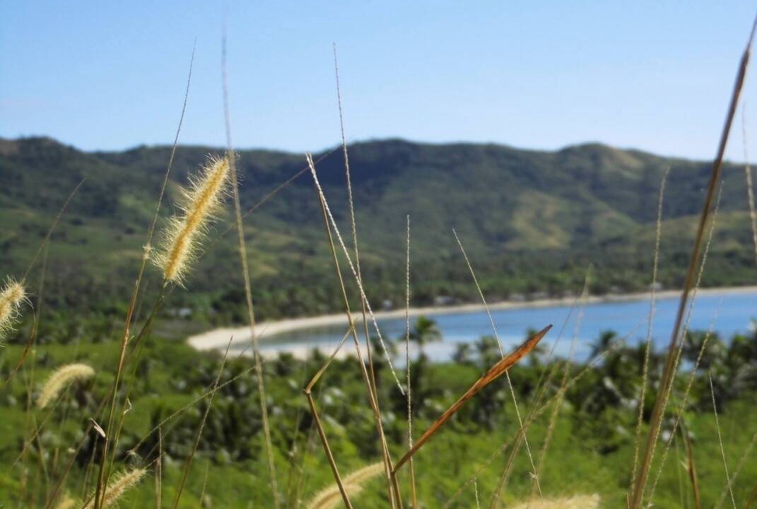 Photo of Others in Taveuni Island East