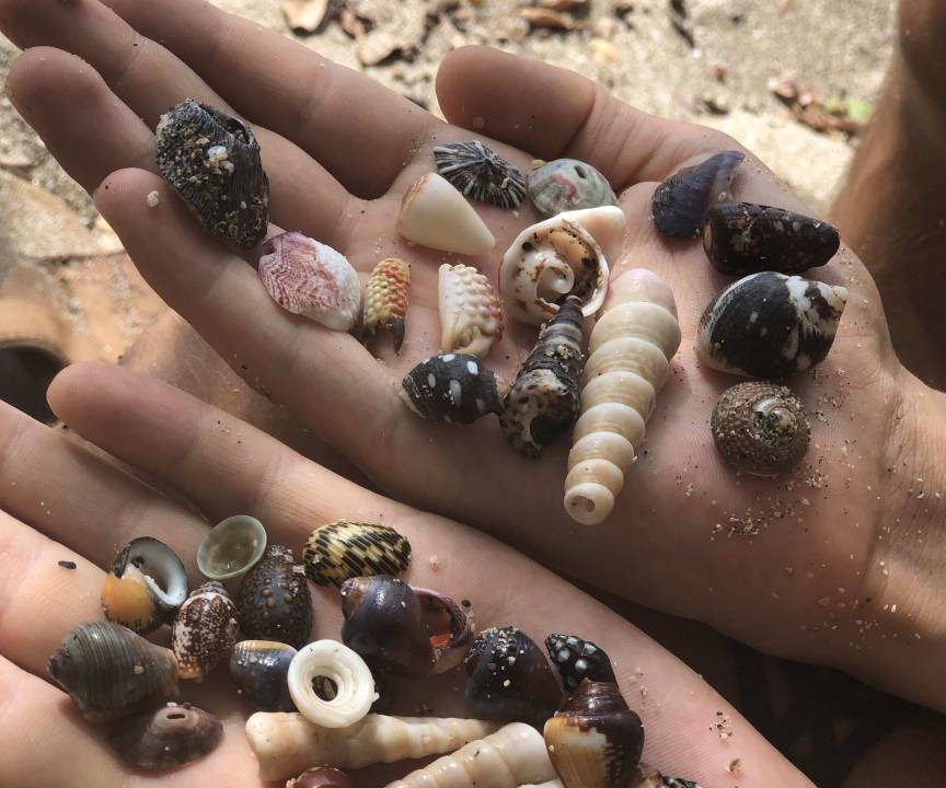 Photo of Others in Tamarindo