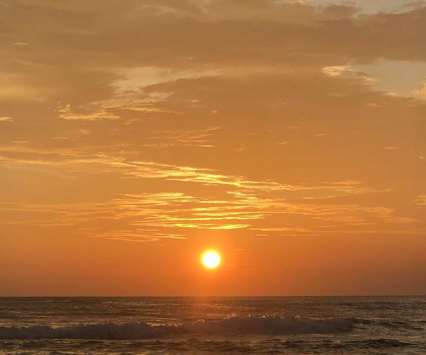 Photo of Others in Tamarindo