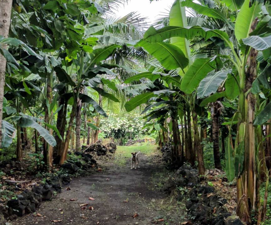 Photo of Others in Altagracia