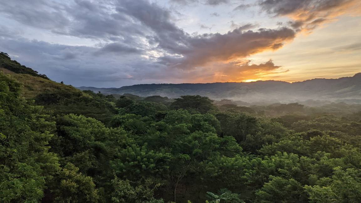Photo of Outdoor in Las Fincas de Escamequita