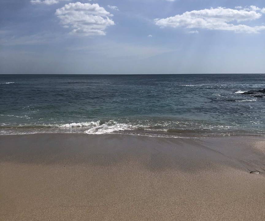 Photo of Others in Tamarindo