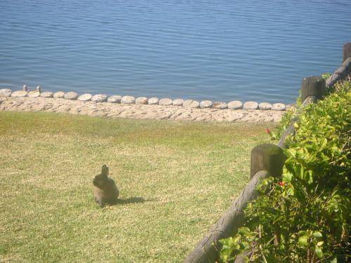 Photo of Outdoor in Marina Martinique
