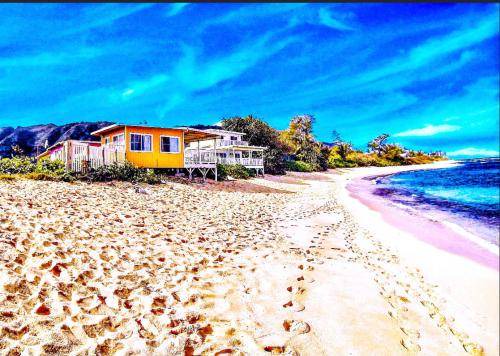 Photo of Others in Waialua