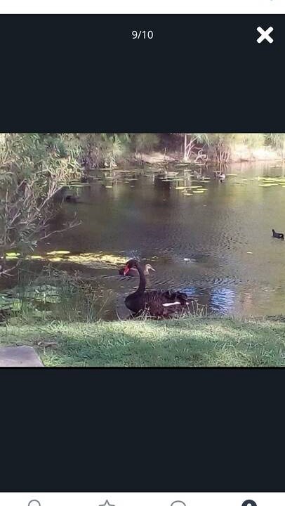 Photo of Others in Varsity Lakes