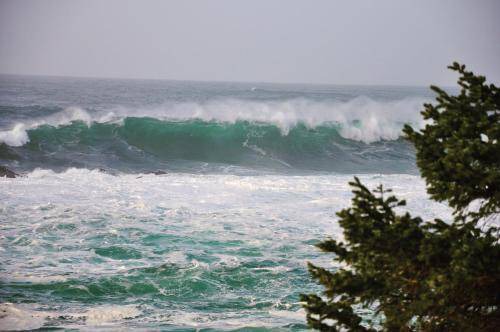 Photo of Outdoor in Ucluelet