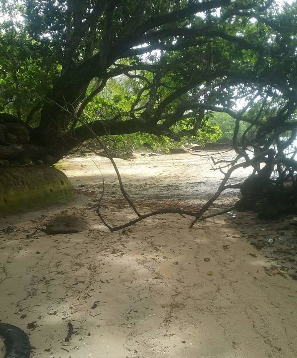 Photo of Others in Nasinu