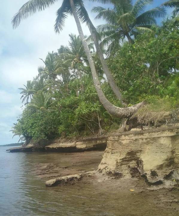 Photo of Others in Nasinu