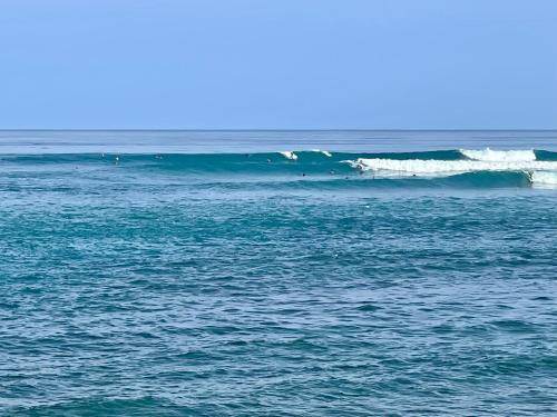 Photo of Others in Waialua