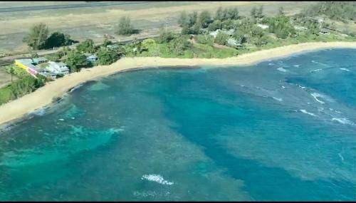 Photo of Others in Waialua