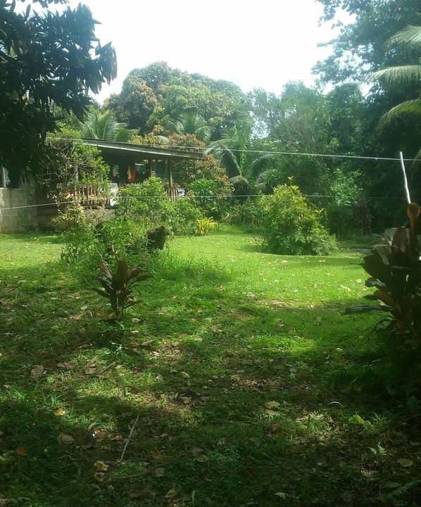 Photo of Others in Nasinu