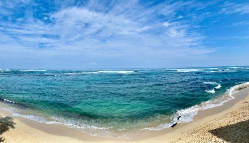 Photo of Others in Waialua