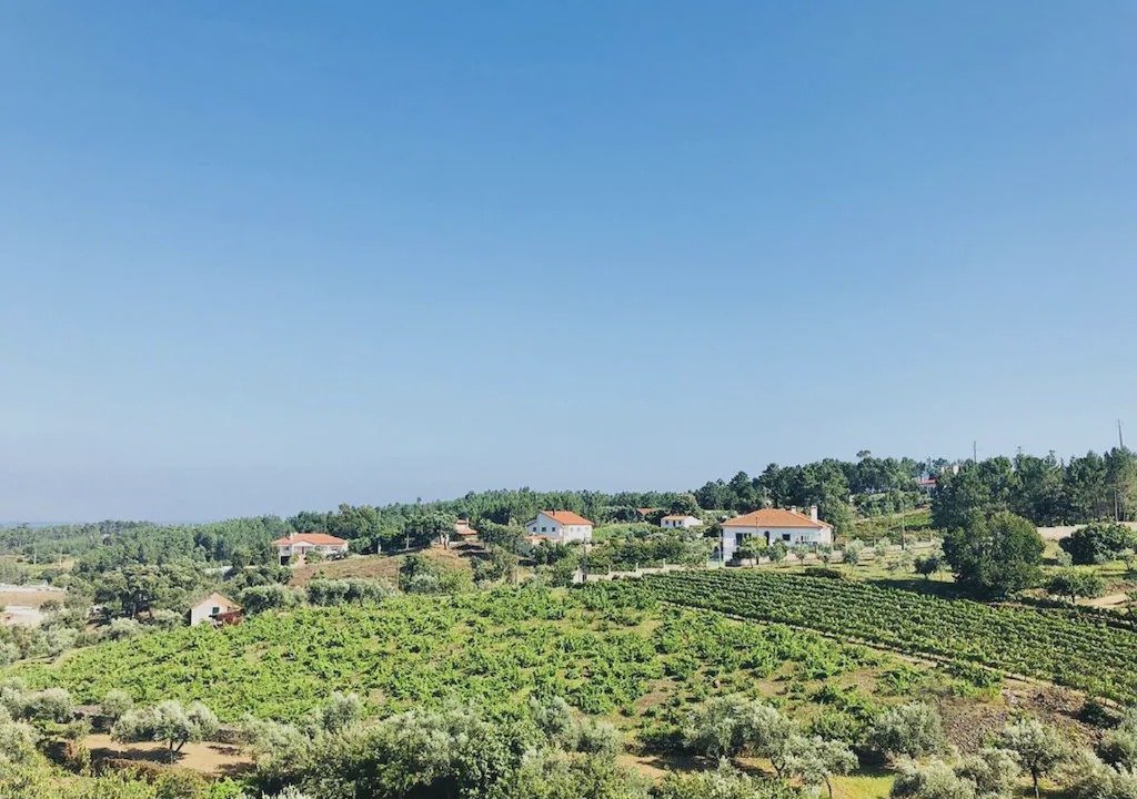 Photo of Outdoor in Proenca-a-Nova