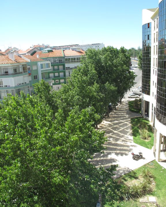 Photo of Others in Casal da Ladeira