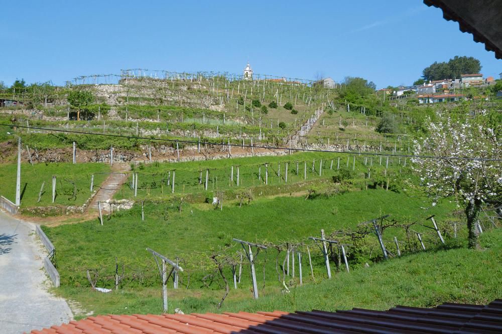 Photo of Others in Macieira de Cambra