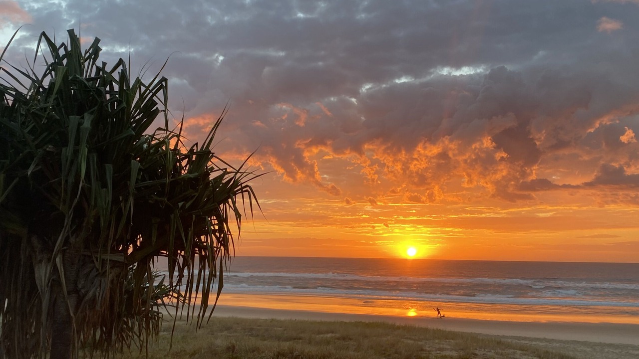 Photo of Others in Mermaid Beach