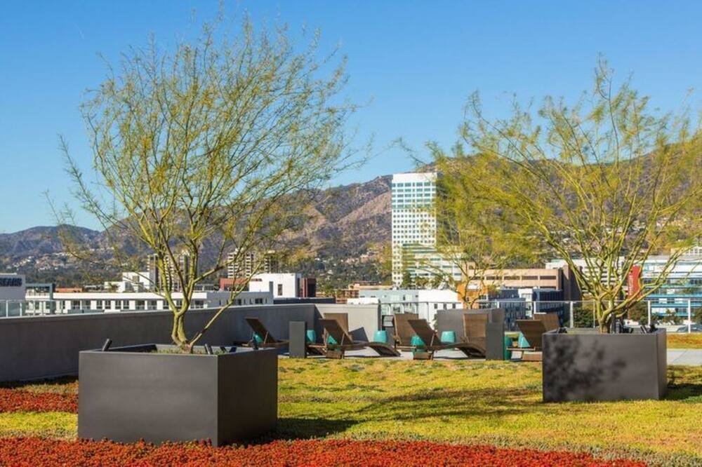 Photo of Others in Downtown