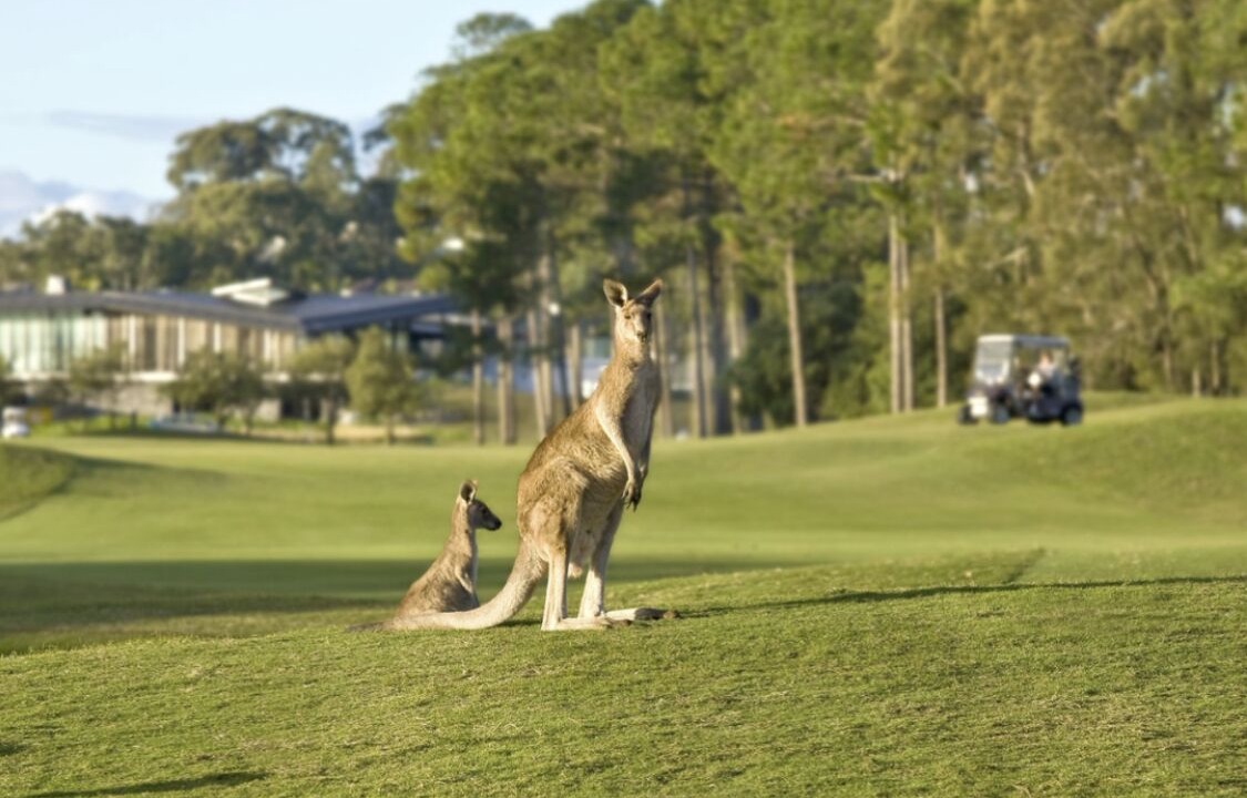 Photo of Others in Gold Coast