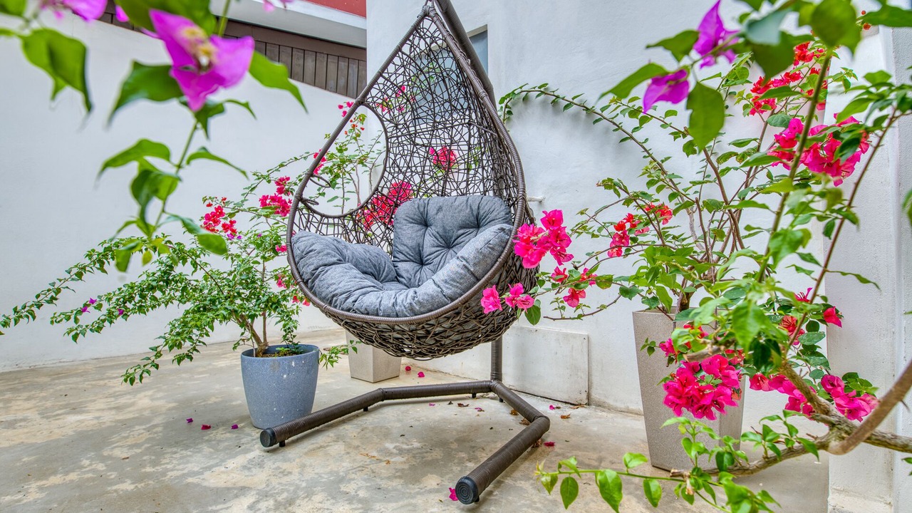 Photo of Outdoor in Limon
