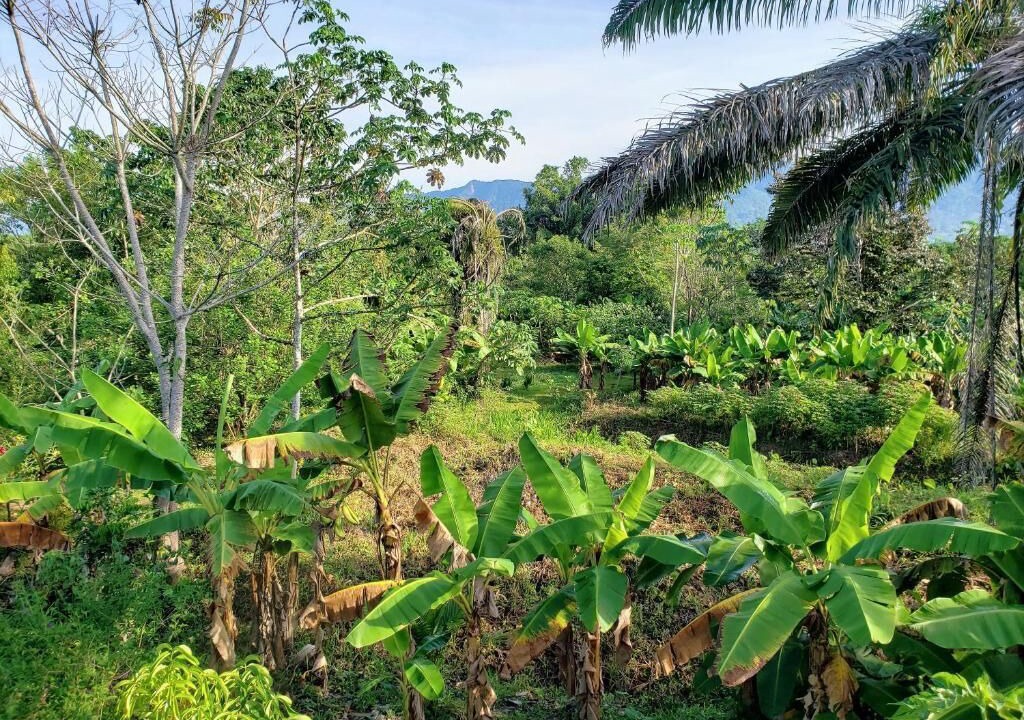 Photo of Outdoor in Palma